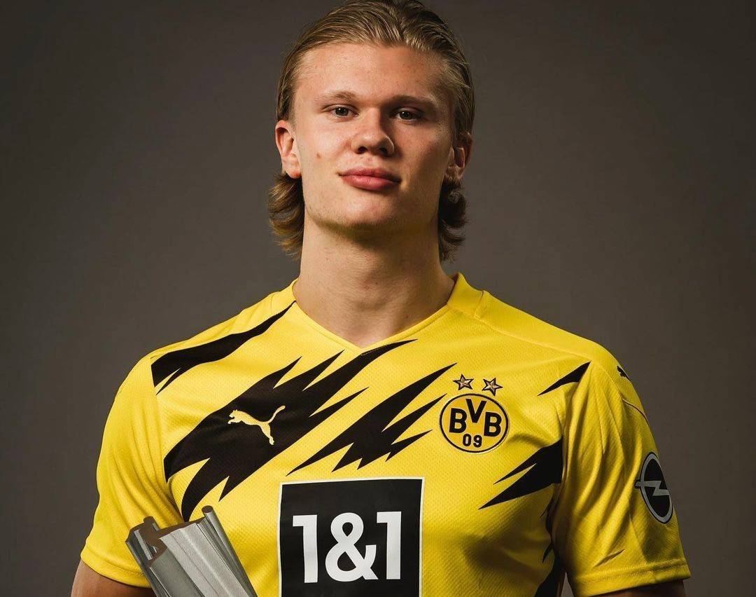 势转化为稳 势转化为稳