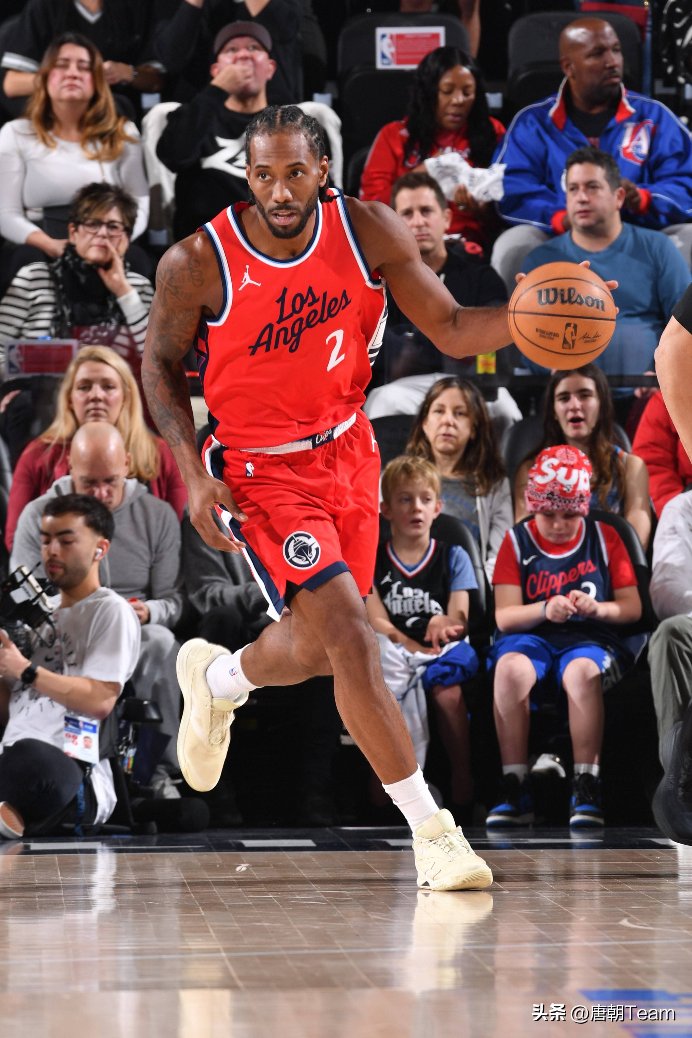 的长途迁徙 的长途迁徙